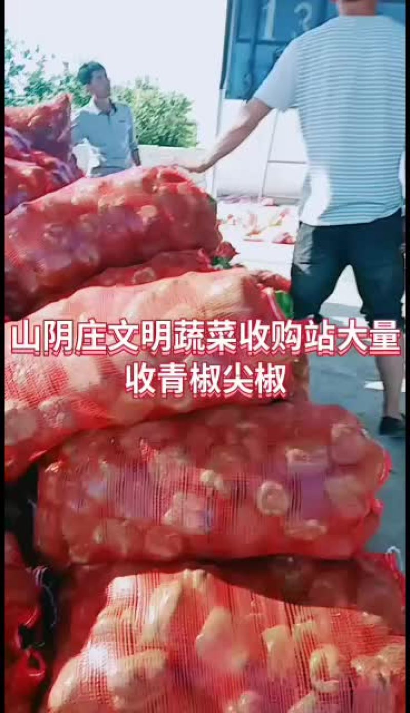 大量鲜货上市，货源充足