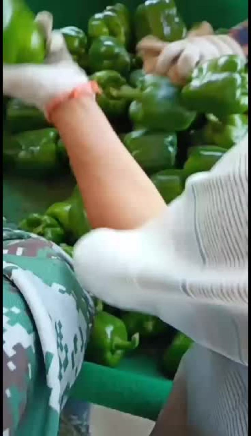 大量鲜货上市，货源充足