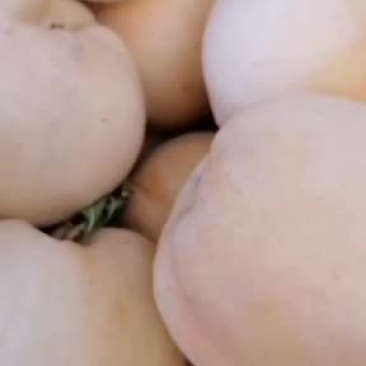 白桃红桃商品桃