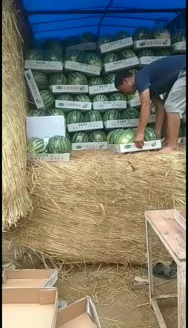 玉麒麟精品麒麟大量供应中口感很好欢迎选购