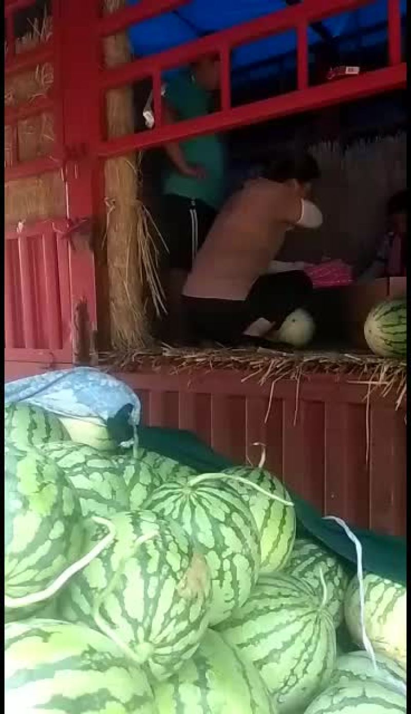 玉麒麟精品麒麟大量供应中口感很好欢迎选购