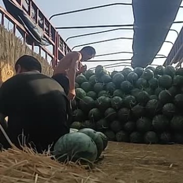 花长瓜大量上市有需要的吗