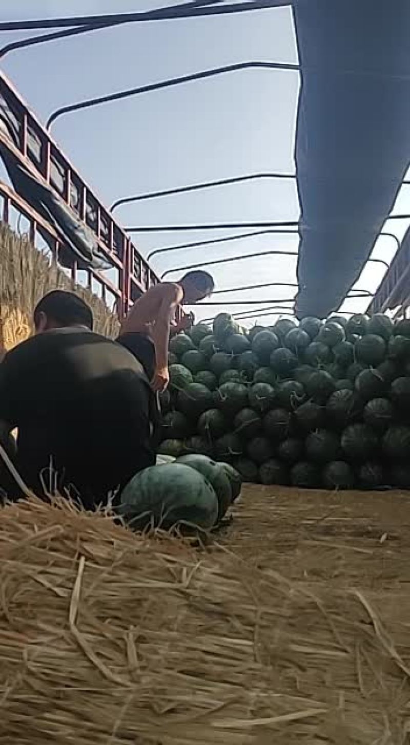 花长瓜大量上市有需要的吗