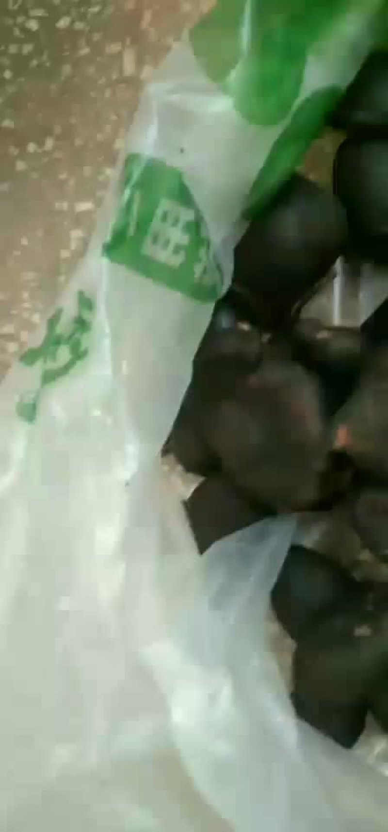 乌灵参，我，诚信第一放心购买