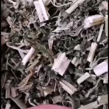 益母草统货过筛无粉
