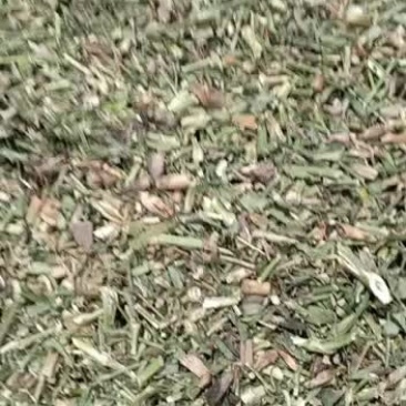 中药材瞿麦巨麦翟麦石竹/巨句麦山瞿麦竹节草5