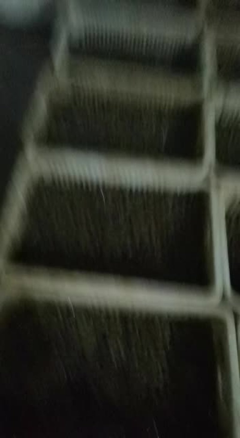 食用青皮螺狮田螺！！！！