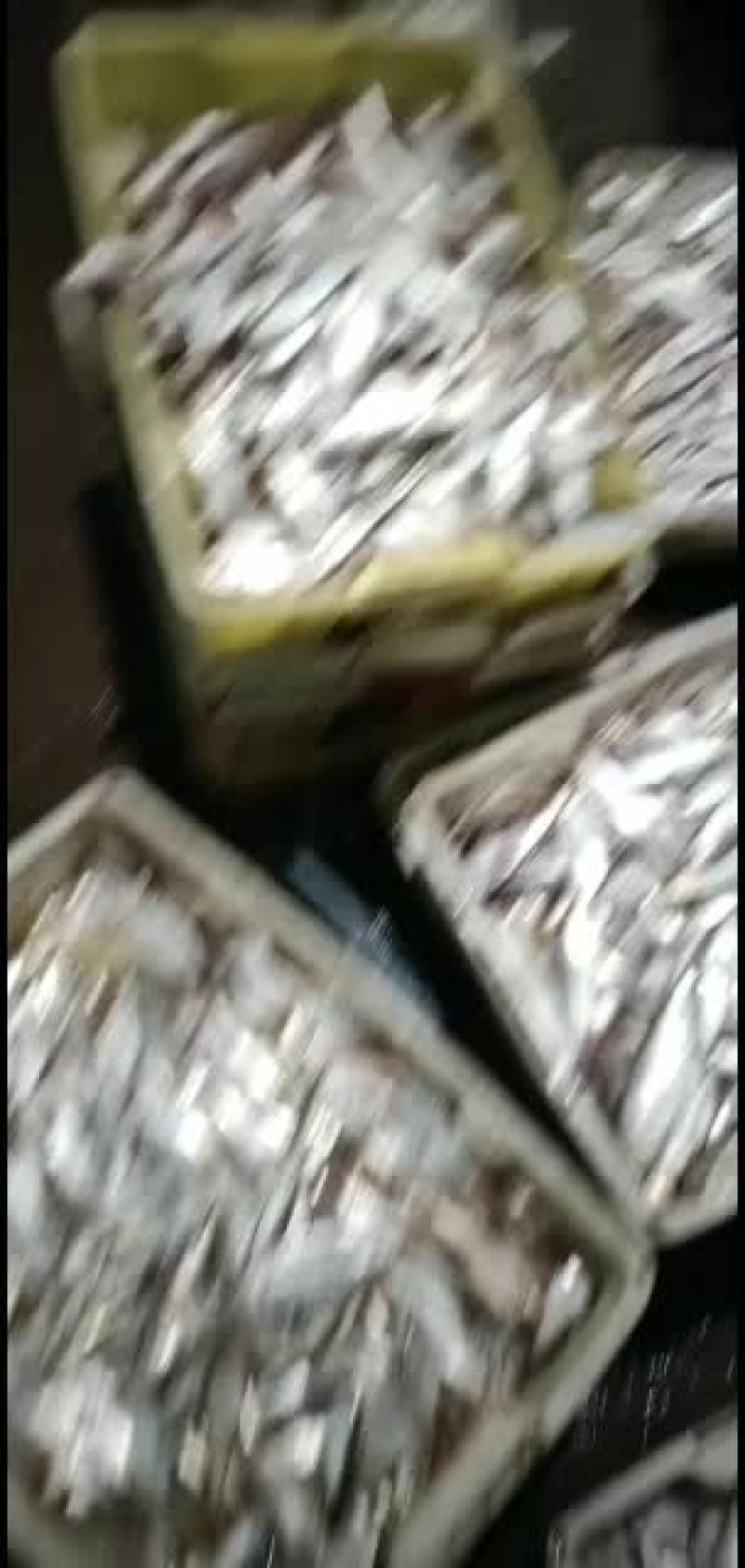 黄鸡鱼，马口鱼，油炸非常香脆