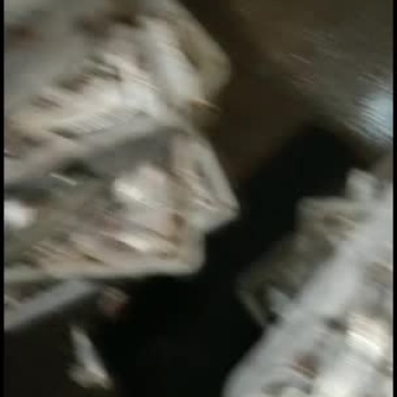 黄鸡鱼，马口鱼，油炸非常香脆
