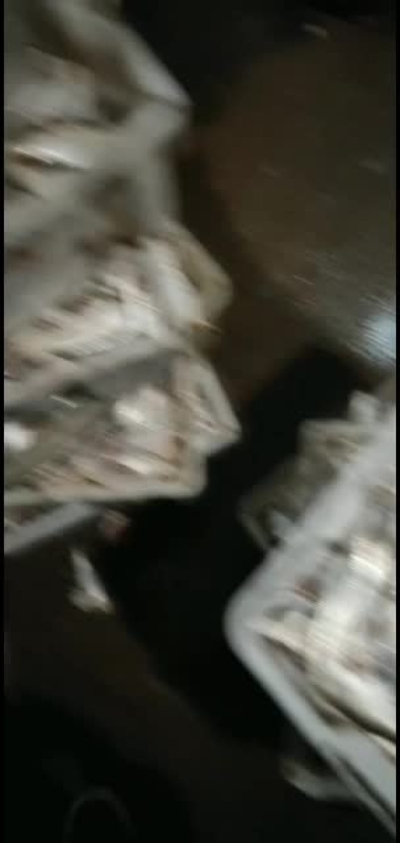 黄鸡鱼，马口鱼，油炸非常香脆