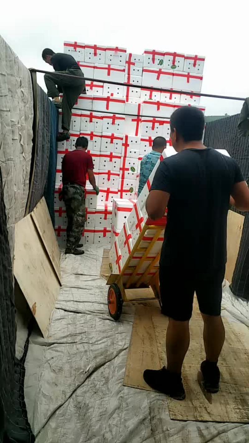 河北精品彩椒