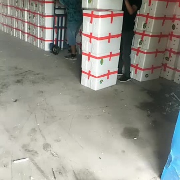 冷库