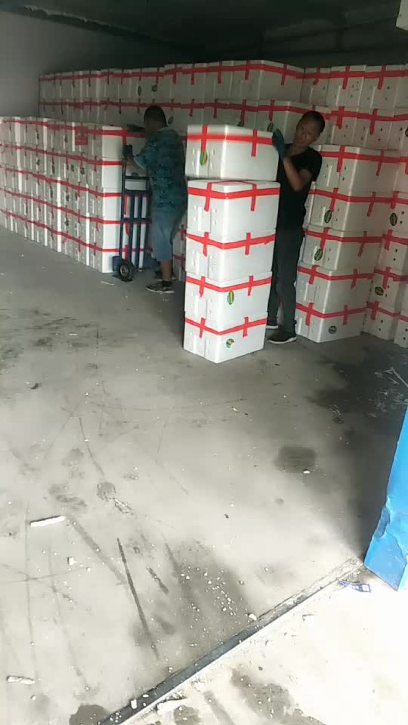 冷库