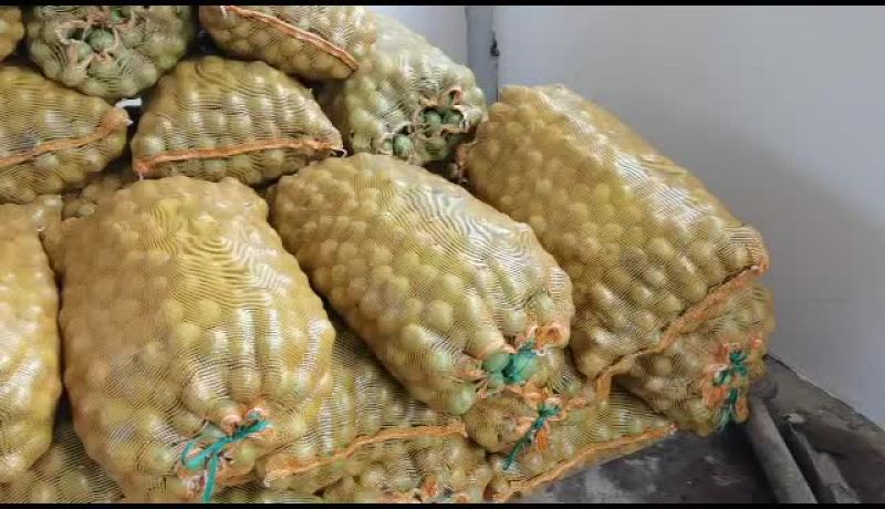 核桃新疆青皮大核桃果仁饱满香甜可口