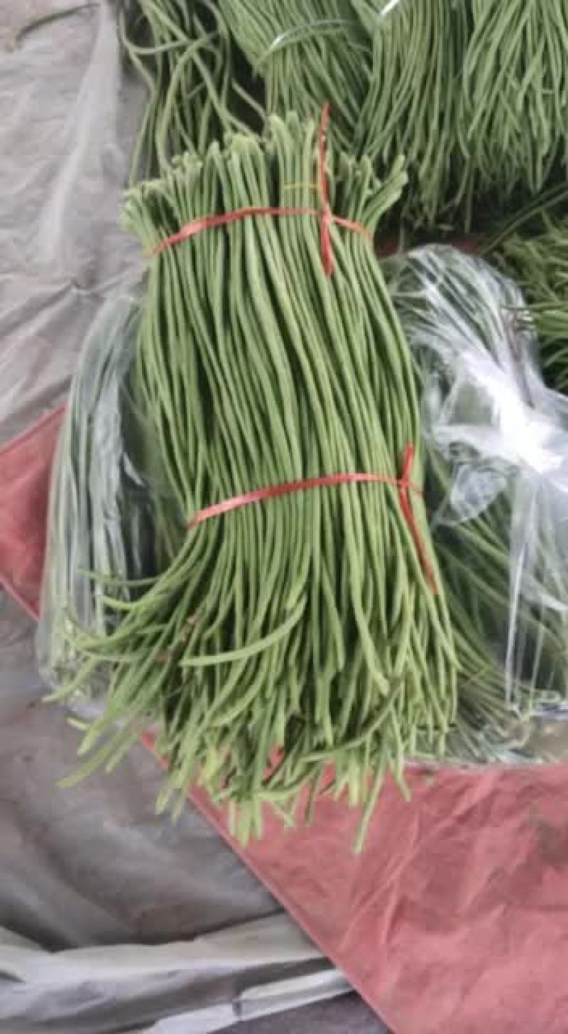 蔬菜批发大量有货。