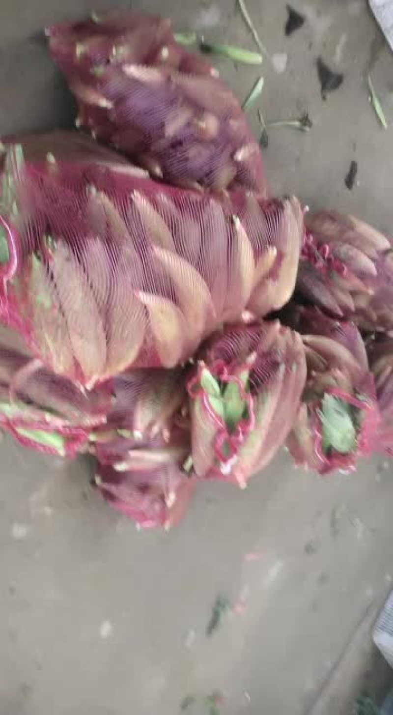 蔬菜批发大量有货。