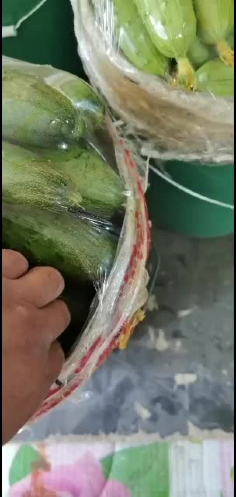 常年代收大刺鲜花旱黄瓜