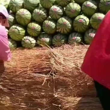金城5宁夏中卫兴仁香山