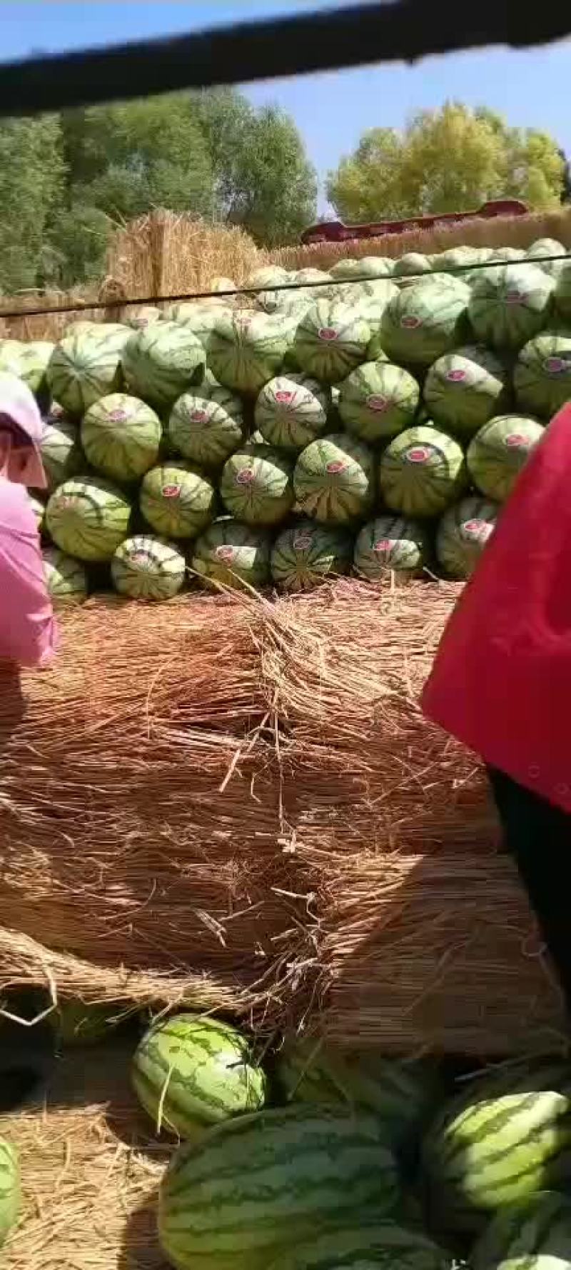 金城5宁夏中卫兴仁香山