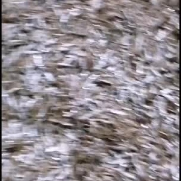 为了产品质量提高，三级分类，将杂鱼分解出来