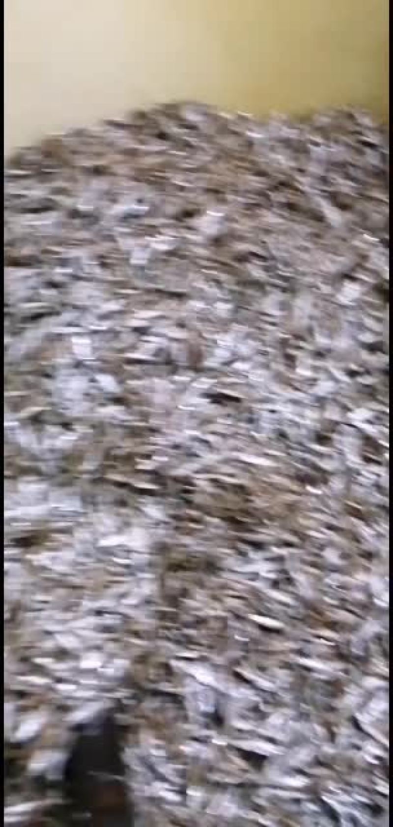 为了产品质量提高，三级分类，将杂鱼分解出来