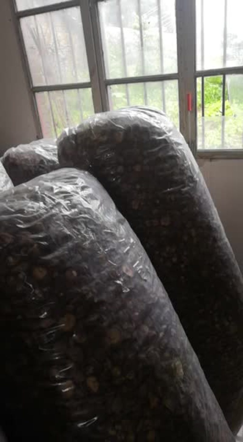 【有好菇】产地直销各种规格干香菇冬菇菇