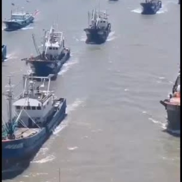 海鲜，品种齐全，质量好，味道鲜美