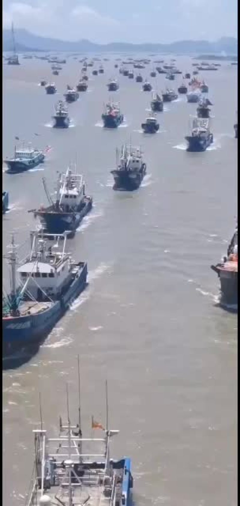 海鲜，品种齐全，质量好，味道鲜美