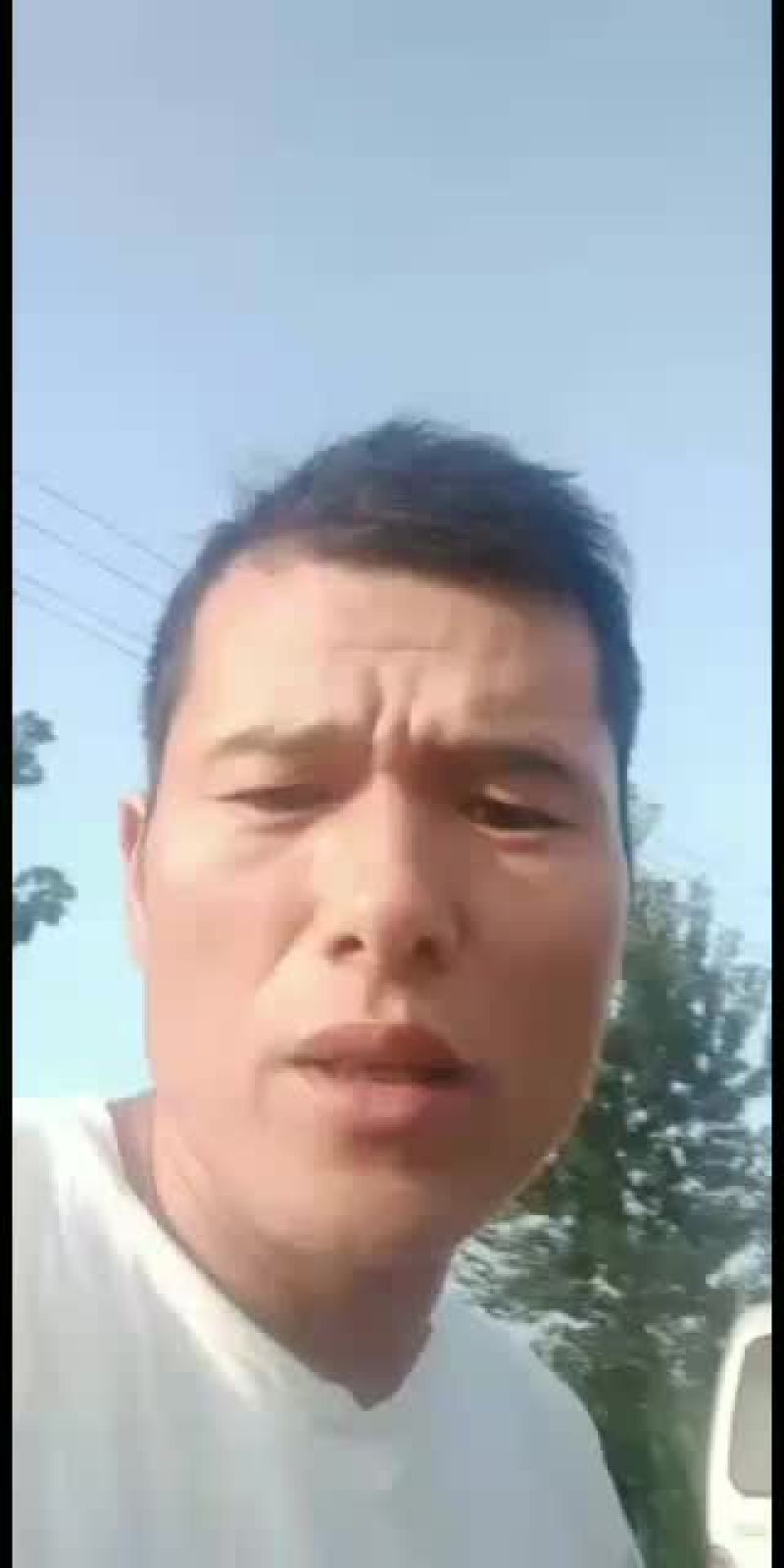 砀山，新鲜水果，光果圆黄梨，汁甜，皮薄，