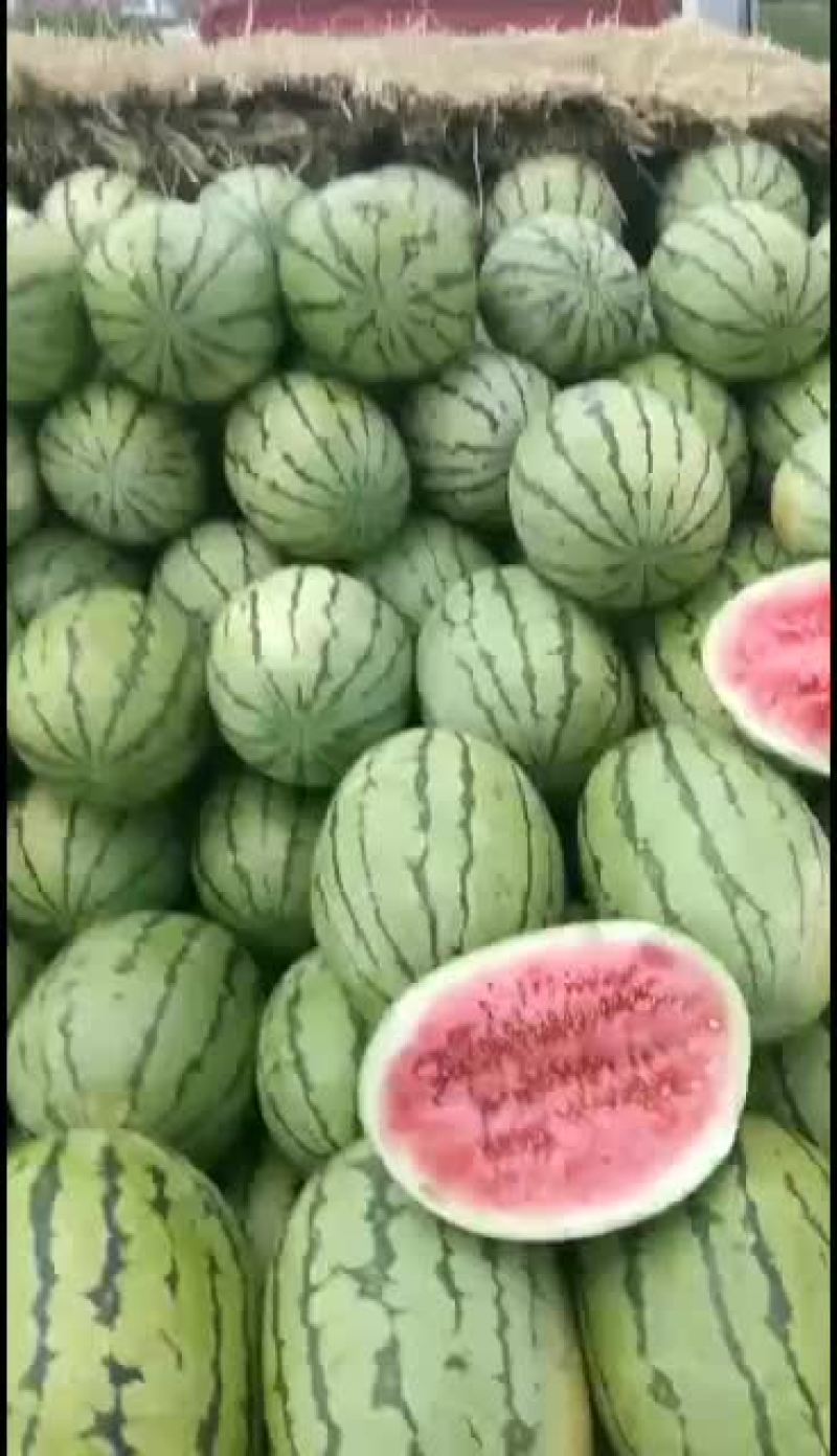 宁夏中卫硒砂瓜已到货，正热买中
