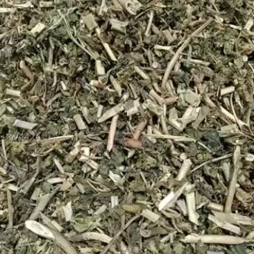 中药材泽漆新货猫眼草野生猫眼草泽漆中草药500克包