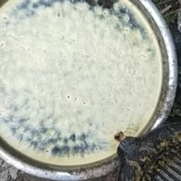 蜂蜡，赘脾蜡，纯蜂蜡，今年的新蜡大量出货了。