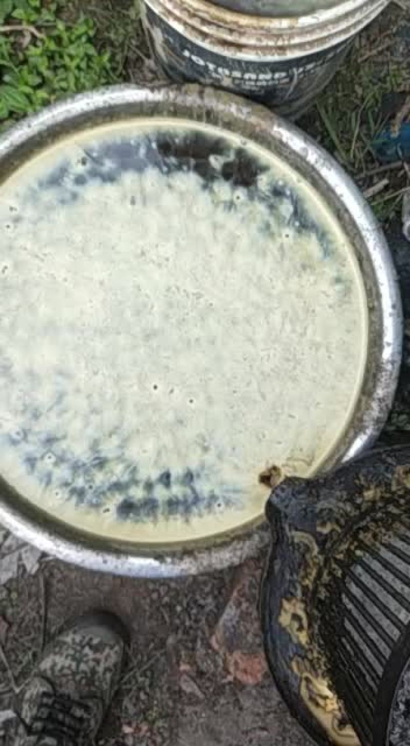 蜂蜡，赘脾蜡，纯蜂蜡，今年的新蜡大量出货了。