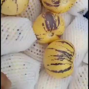 石林人参果圆果，品质好