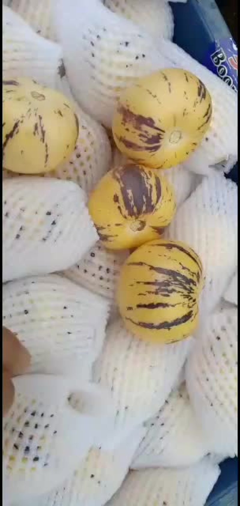 石林人参果圆果，品质好