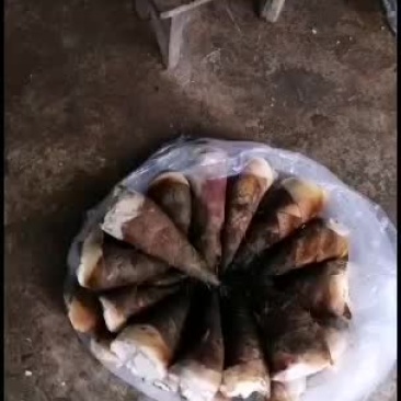 云南普洱生吃甜笋