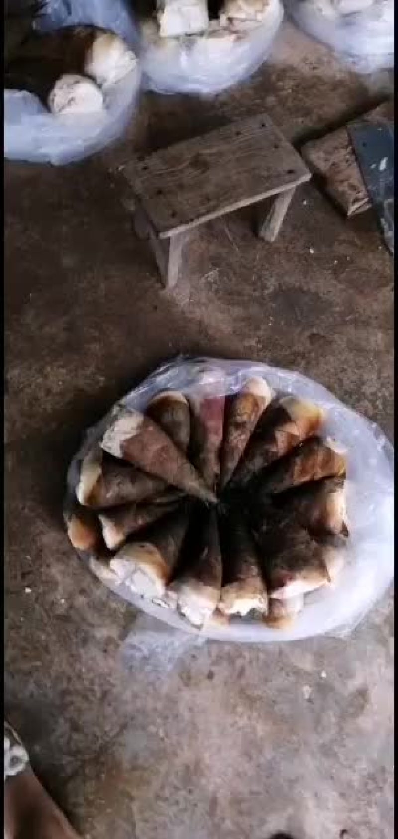 云南普洱生吃甜笋
