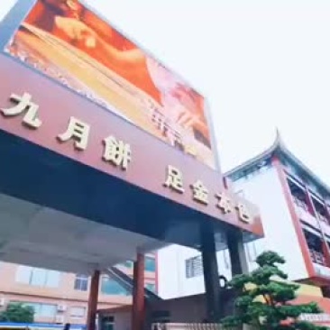 金九月饼--荣誉出品