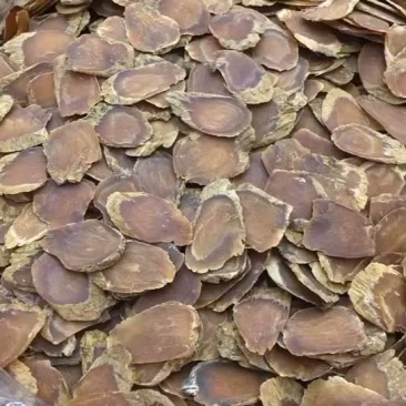 集纹老红参片泡茶煲汤正品老人增强身体