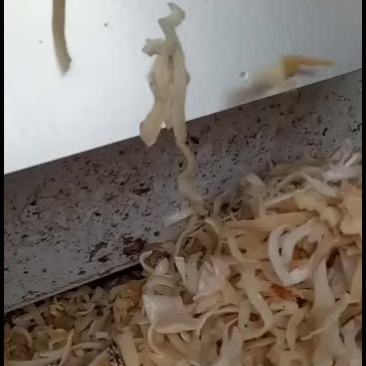 自产自销口感脆，食用很方便很受欢迎。
