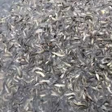 @让我们热爱生活吧！@
