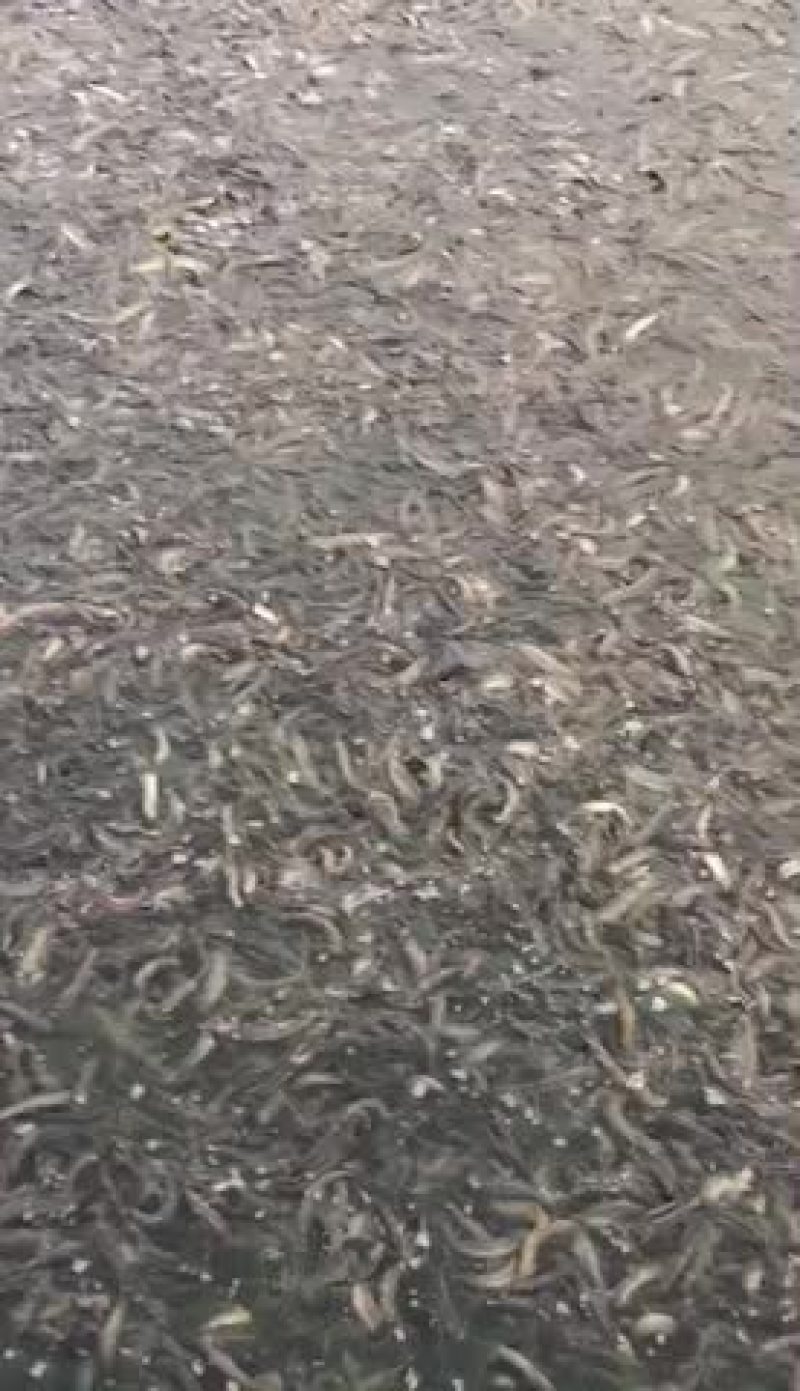@让我们热爱生活吧！@