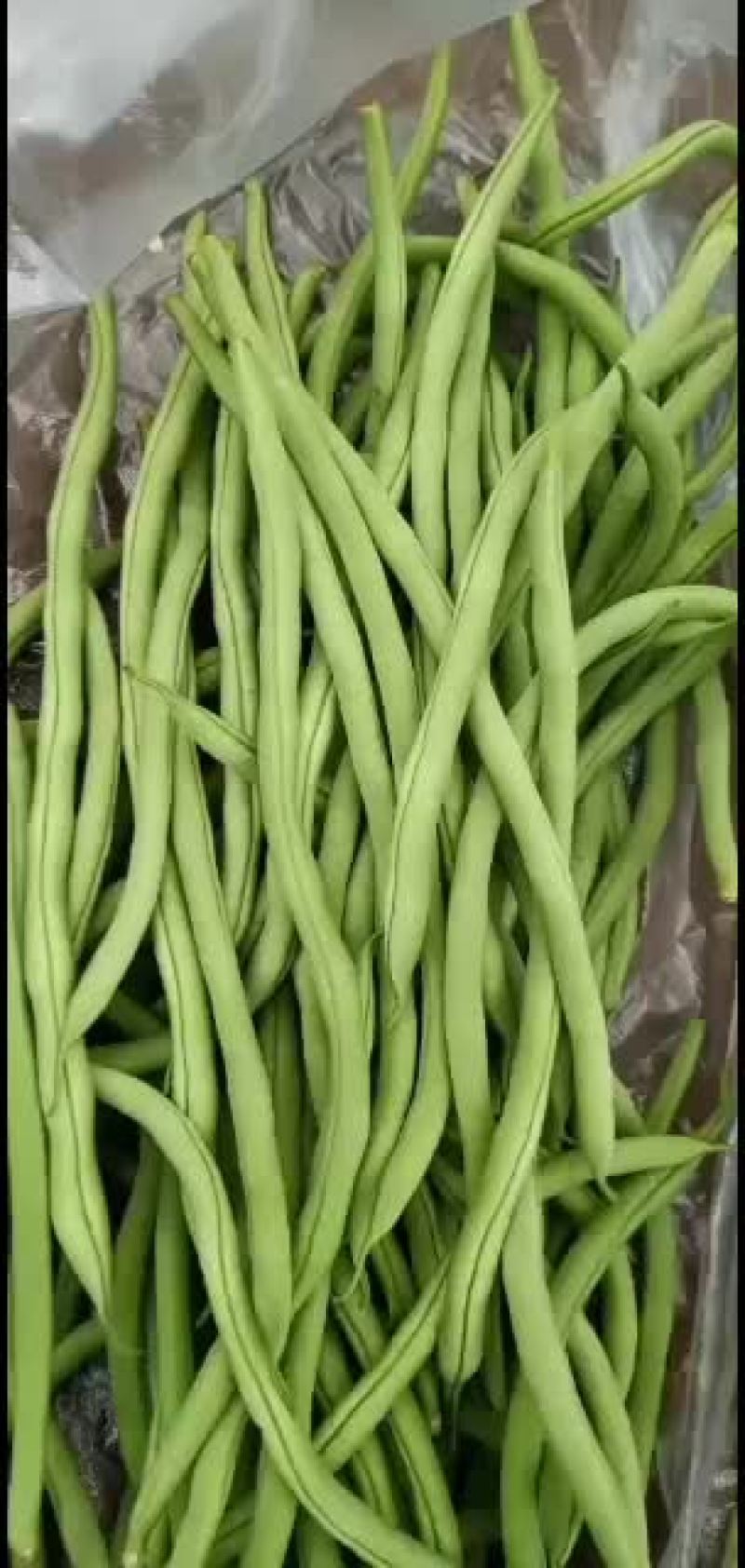 豆类精品豆角，大量上市。