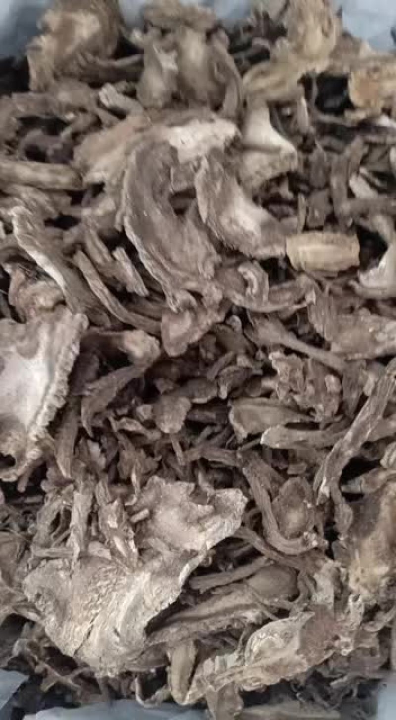 新货无硫独活独活片独摇草独滑草500克包邮