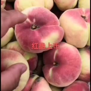 红蟠桃大量上市量大甜度高