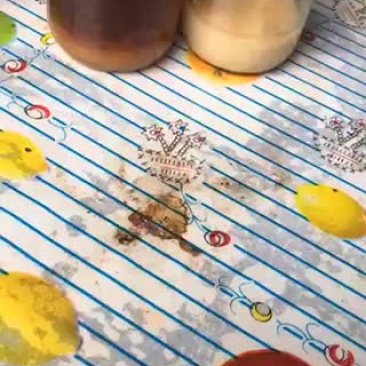 大量出售农村自养蜂蜜