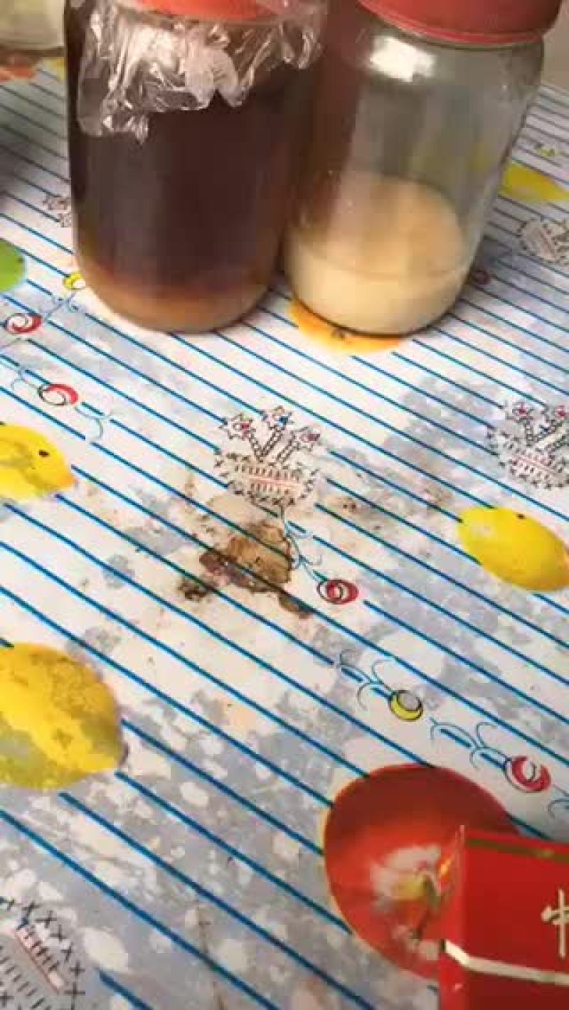 大量出售农村自养蜂蜜