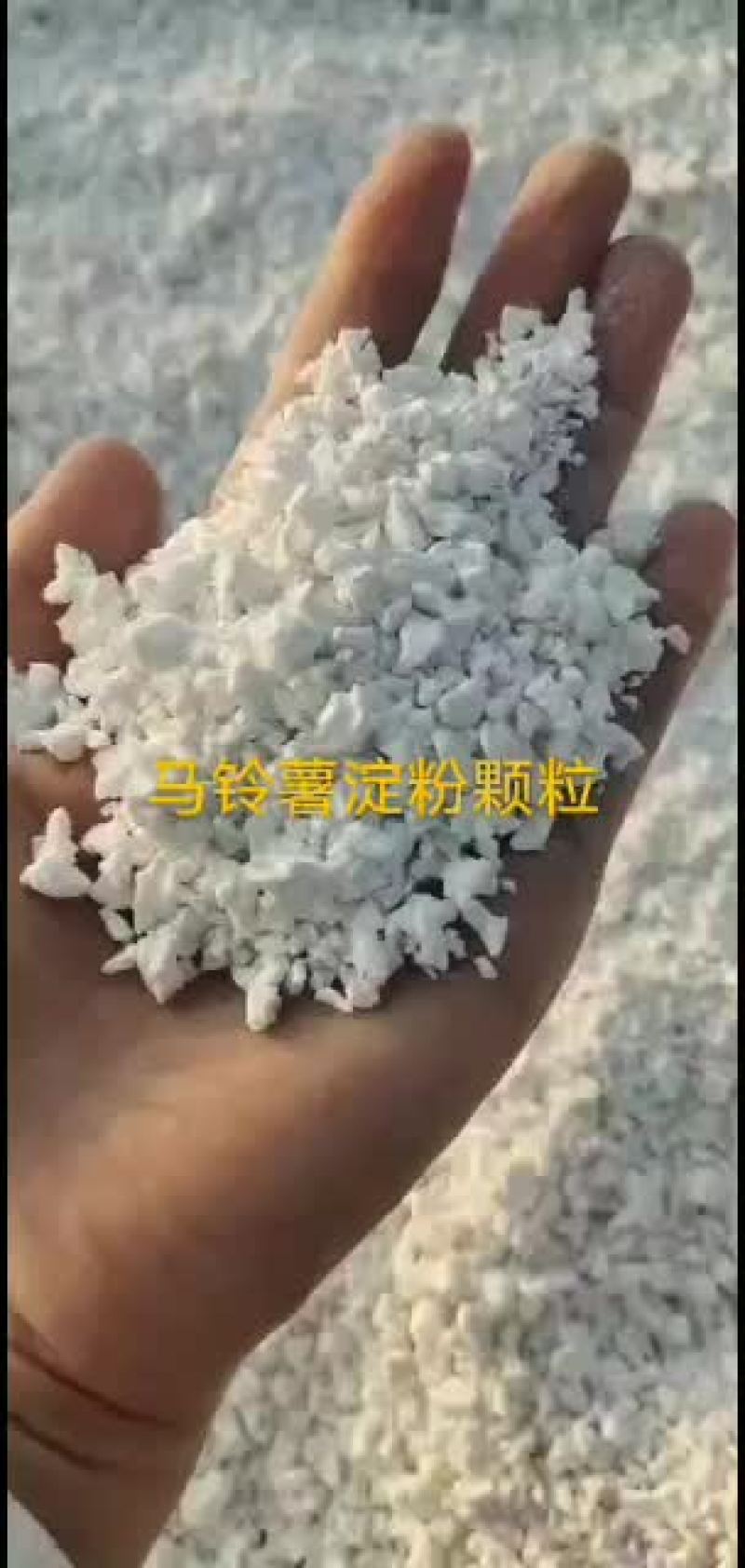 淀粉马铃薯淀粉颗粒生粉