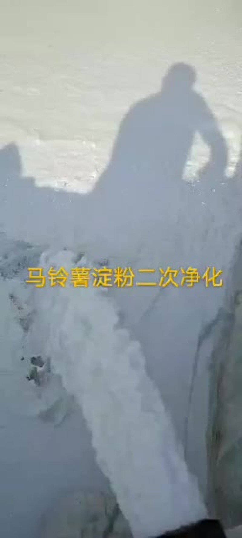 淀粉马铃薯淀粉颗粒生粉