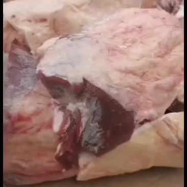 牛骨牛窝骨质量好价格便宜量大从优